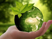 Umweltfreundliche Investments / Quelle: Pixabay, lizenzfreie Bilder, open library: anncapictures; https://pixabay.com/de/photos/natur-erde-nachhaltigkeit-blatt-3289812/