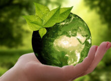 Nachhaltigkeit / Umweltfreundliche Investments / Quelle: Pixabay, lizenzfreie Bilder, open library: anncapictures; https://pixabay.com/de/photos/natur-erde-nachhaltigkeit-blatt-3289812/