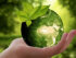 Nachhaltigkeit / Umweltfreundliche Investments / Quelle: Pixabay, lizenzfreie Bilder, open library: anncapictures; https://pixabay.com/de/photos/natur-erde-nachhaltigkeit-blatt-3289812/